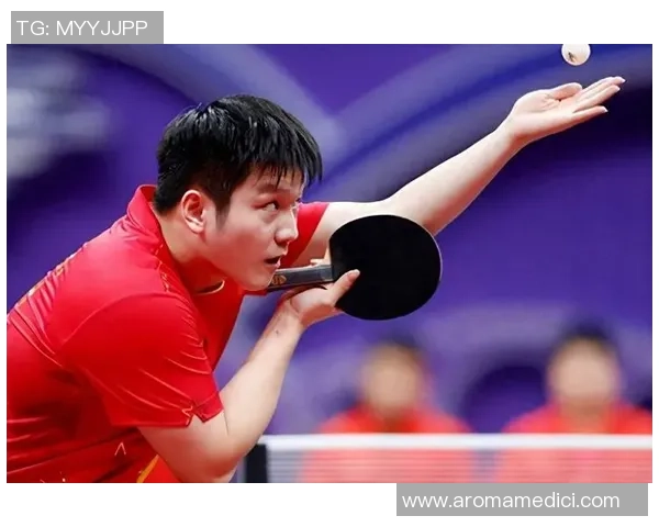 乒乓球传奇李军的职业生涯与心路历程深度对话