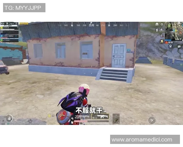 专访和平精英制作人赵磊揭秘游戏成功背后的秘密与策略